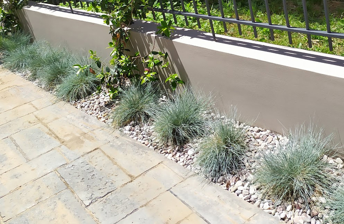 Residential Landscape